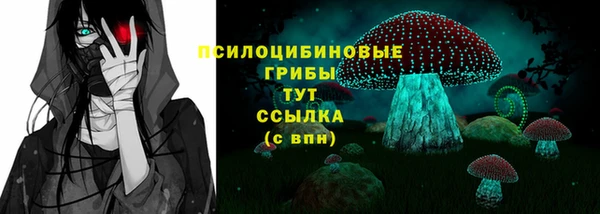 метадон Новодвинск